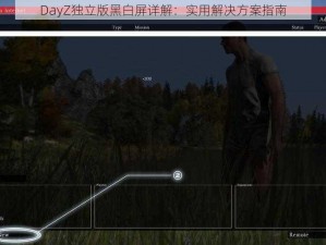 DayZ独立版黑白屏详解：实用解决方案指南