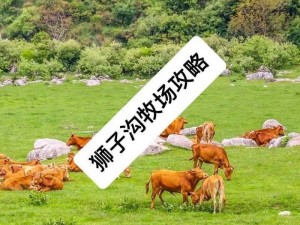 双 D 度假牧场 k1 经典版剧情介绍：享受牧场生活，体验大自然的魅力