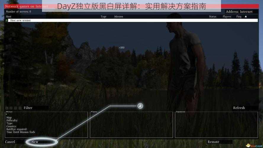 DayZ独立版黑白屏详解：实用解决方案指南