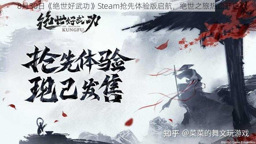 8月30日《绝世好武功》Steam抢先体验版启航，绝世之旅热血开启