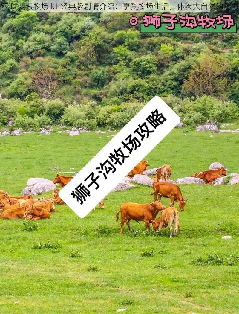 双 D 度假牧场 k1 经典版剧情介绍：享受牧场生活，体验大自然的魅力